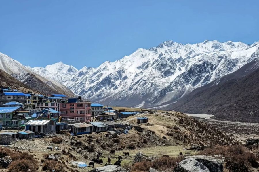 Langtang Valley village with colorful buildings nestled below snow-capped Himalayan peaks
